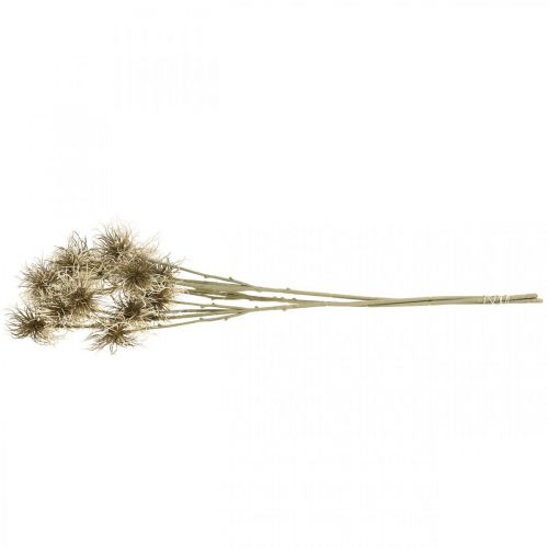 Article Xanthium fleur artificielle décoration d&#39;automne 6 fleurs crème, marron 80cm 3pcs
