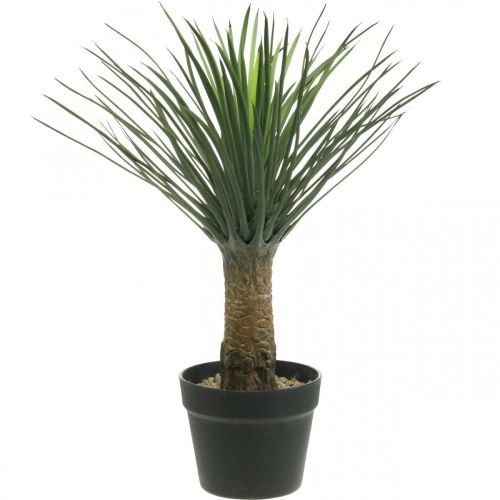 Floristik24 Palmier yucca artificiel en pot Palmier artificiel en pot H52cm