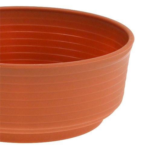 Article Bol en Z plastique 18cm 10 pcs