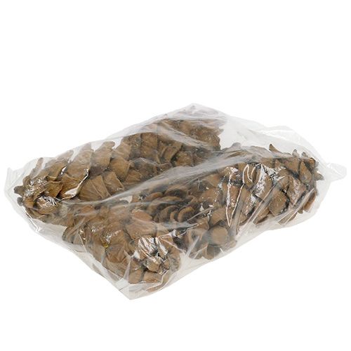 Floristik24 Cônes nature 9cm - 10cm 6 pcs