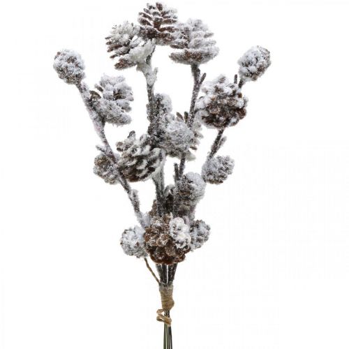 Floristik24 Branche de cône de branches de Noël Snowed 30cm 5pcs en bouquet