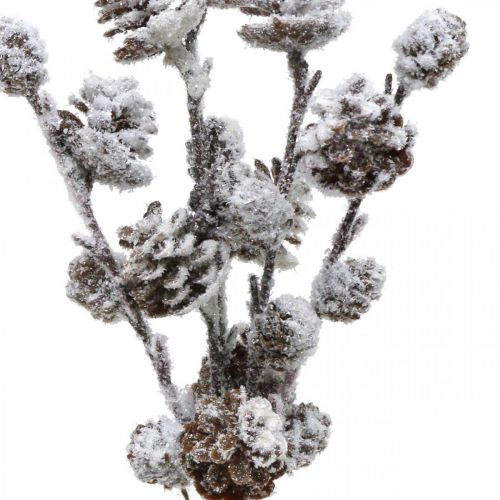 Article Branche de cône de branches de Noël Snowed 30cm 5pcs en bouquet