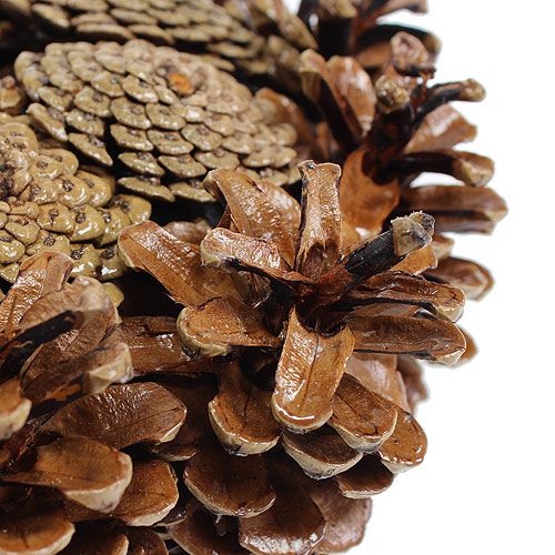 Floristik24 Couronne de pommes de pin Forme de cœur Basse Ø30cm