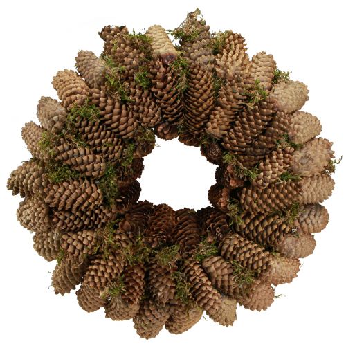 Floristik24 Couronne de cônes avec mousse Grande couronne de cônes d&#39;épicéa Ø45cm