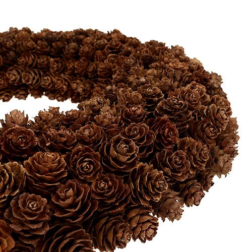 Floristik24 Couronne de cône Ø31cm Marron