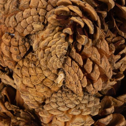 Pot de fleurs en forme de