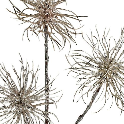 Article Branche d'hamamélis champagne 45cm 3 pcs