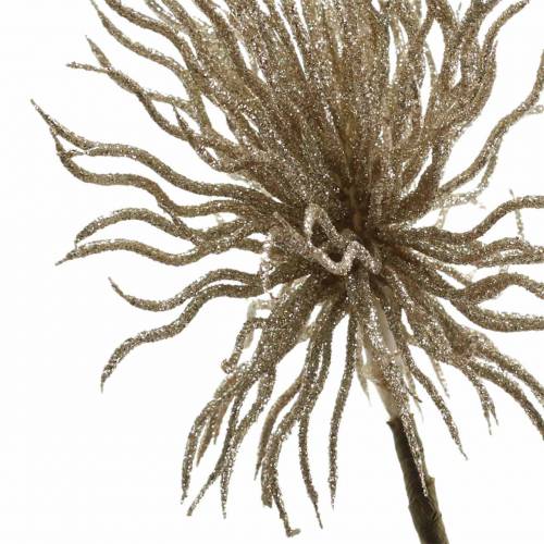 Floristik24 Branche de clématite artificielle champagne avec paillettes 32cm 5pcs