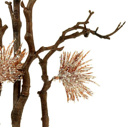 Floristik24 Champagne Branche d&#39;hamamélis 112cm