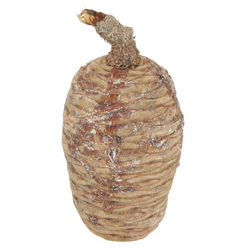 Article Cônes de cèdre cèdre décoratif naturel 9-10,5cm 3 pcs