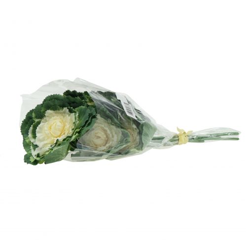 Floristik24 Chou artificiel blanc, vert 25cm 6pcs