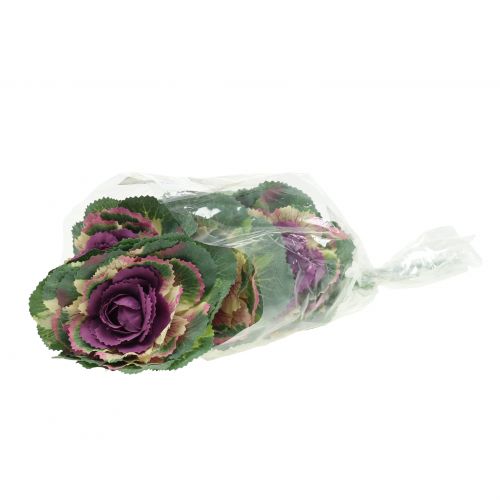 Floristik24 Chou artificiel violet, vert 25cm 6pcs