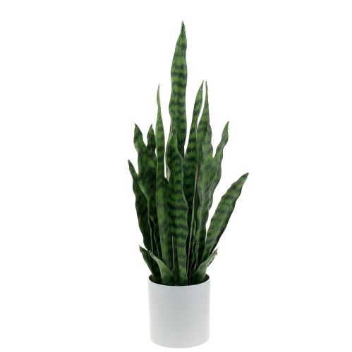 Sansevieria artificielle en pot H62cm