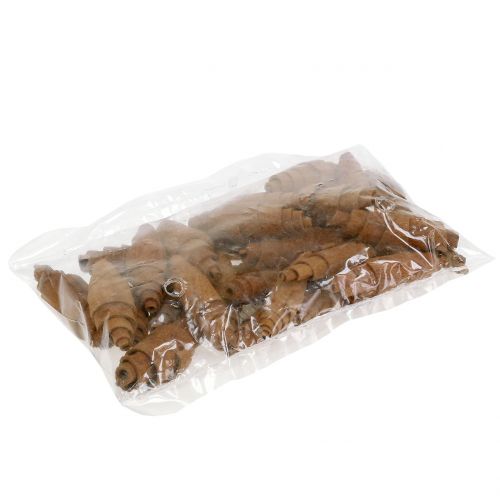Floristik24 Décoration croissant à la cannelle 6,5cm - 7cm 30 pcs