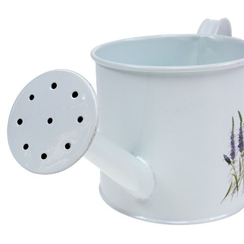 Floristik24 Arrosoir en zinc Ø 10,5 cm H. 10 cm avec lavande