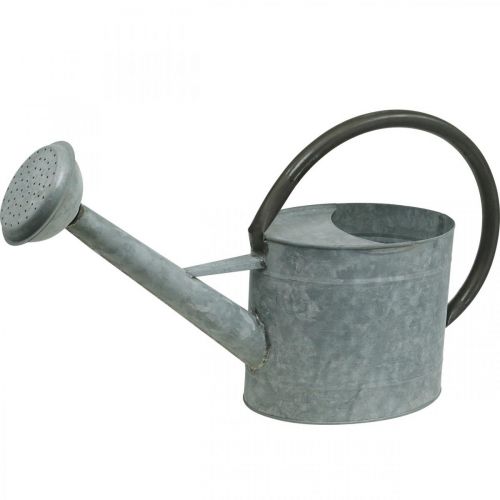 Article Arrosoir en métal, décoration de jardin look vintage gris argenté L53cm H29cm
