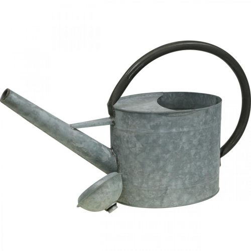 Article Arrosoir en métal, décoration de jardin look vintage gris argenté L53cm H29cm