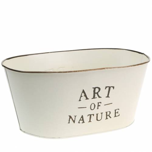 Floristik24 Coupe fleur ovale zinc crème 27×18cm H12.5cm