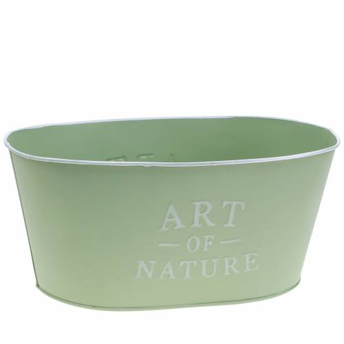 Article Coupe fleur ovale zinc vert menthe 27×18cm H12.5cm