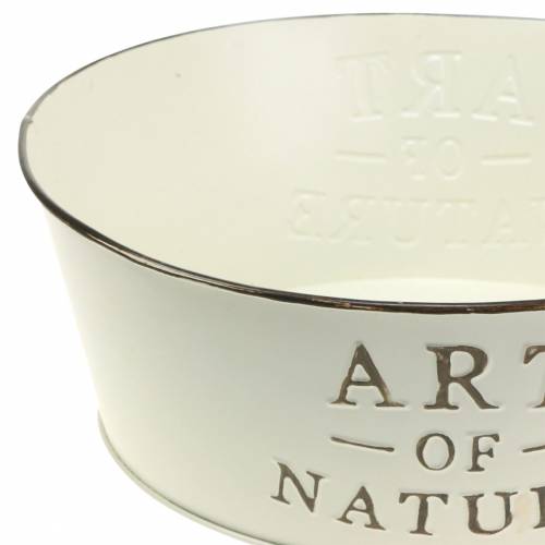 Floristik24 Coupe fleur rond zinc crème Ø25cm H9cm