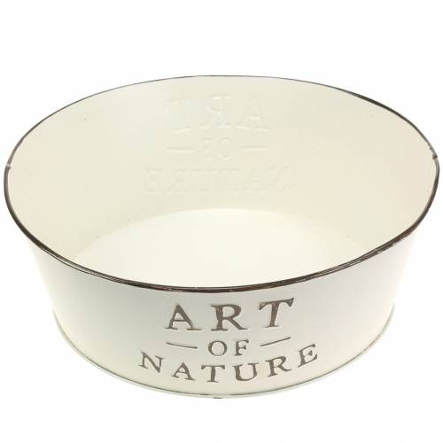 Floristik24 Coupe fleur rond zinc crème Ø25cm H9cm