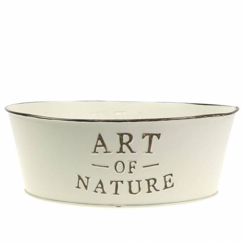 Coupe fleur rond zinc crème Ø25cm H9cm