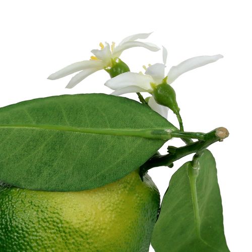 Article Citrons en fleur 9,5cm vert 4pcs