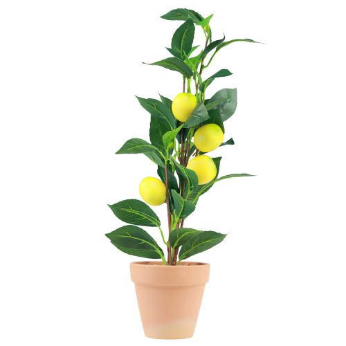 Floristik24 Citronnier en pot plante artificielle 42cm