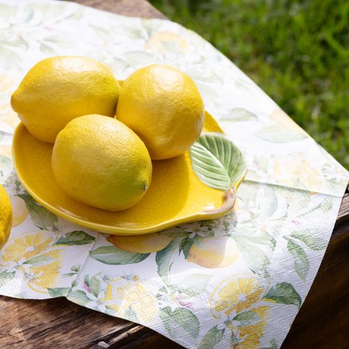 Floristik24 Assiette citron assiette décorative céramique jaune citron 20×16cm
