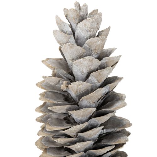 Article Pommes de pin à sucre blanchies à la chaux 20cm - 30cm