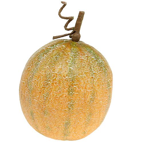 Floristik24 Melon décoratif cantaloup Ø14cm