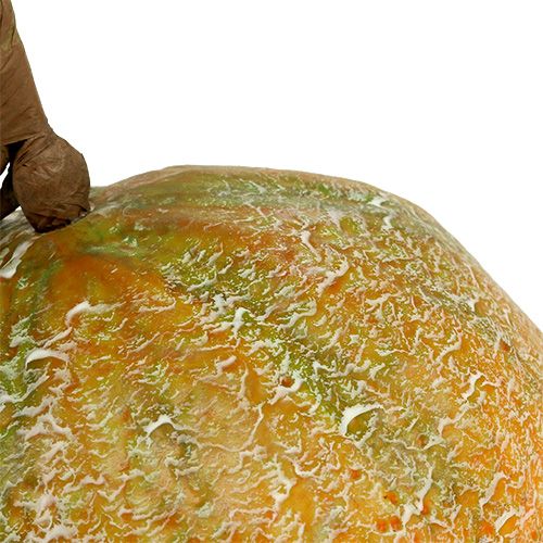 Floristik24 Melon décoratif cantaloup Ø14cm