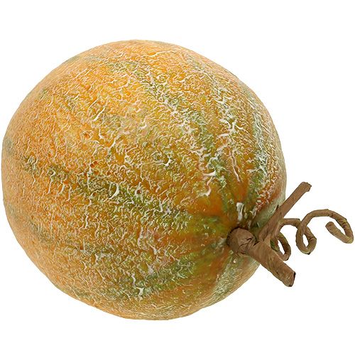 Floristik24 Melon décoratif cantaloup Ø14cm
