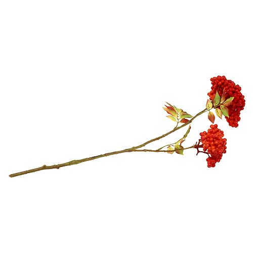 Floristik24 Branche avec baies oranges 53 cm