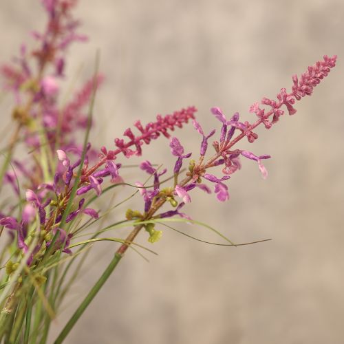 Article Plante décorative à fleurs délicates pour une décoration de chambre élégante 67 cm