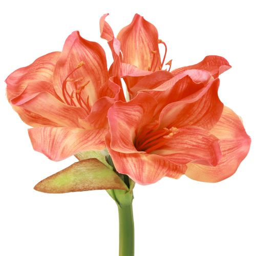 Article Amaryllis fleurs décoratives orange artificielles L55cm 2pcs