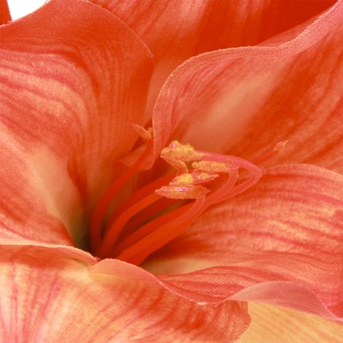 Article Amaryllis fleurs décoratives orange artificielles L55cm 2pcs
