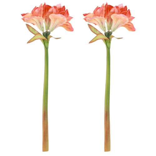 Article Amaryllis fleurs décoratives orange artificielles L55cm 2pcs