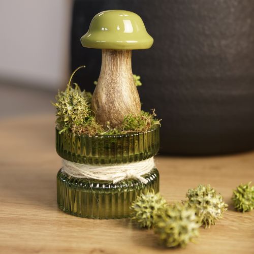 Article Cornets de gomme douce vert givré 250g