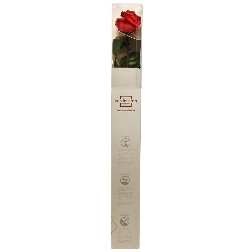 Article Rose Infini aux Feuilles Stabilisées Rouge Amorosa L54cm