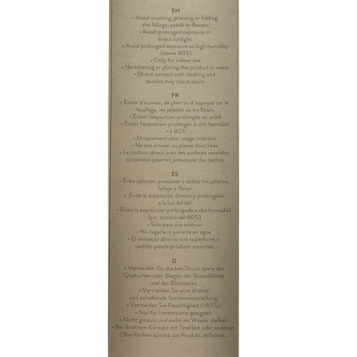 Article Rose Infini aux Feuilles Stabilisées Rouge Amorosa L54cm