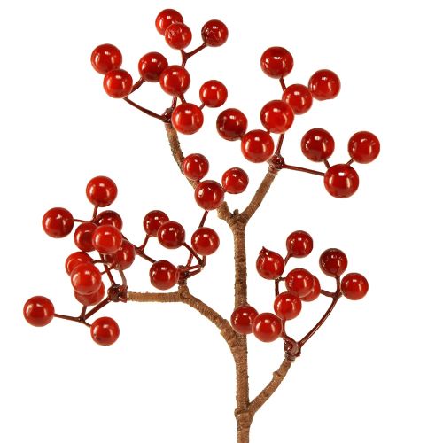 Floristik24 Branches de Baies Rouge Vif – Idéales pour les Décorations Festives, 30cm – Lot de 6