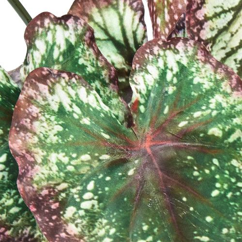 Article Bégonia Plantes Artificielles Feuille Bégonias Vert Violet 62cm