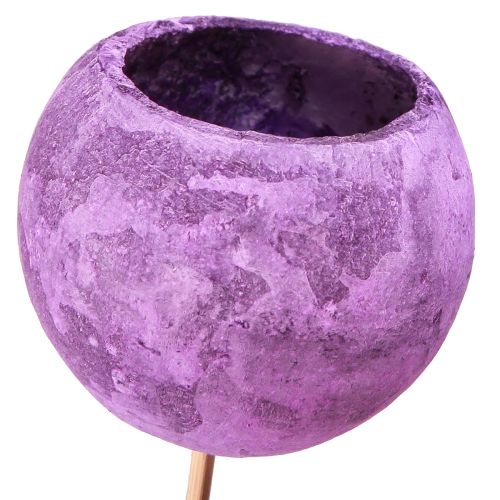 Floristik24 Bell Cup sur bâtonnet Décoration sèche Violet 44cm 15pcs