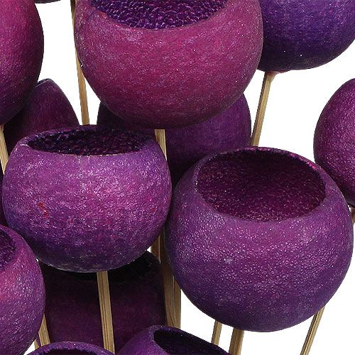 Floristik24 Bell Cup Mix sur bâtonnet Erika 15 pcs