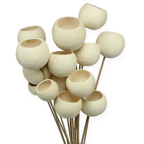 Bell Cup Mix sur bâtonnet blanchi 15 pcs
