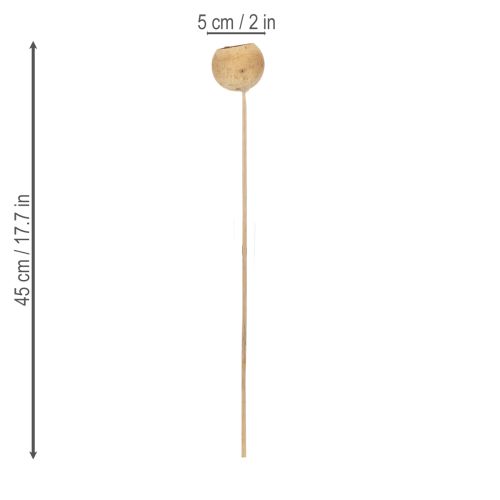 Article Mélange de clochettes sur tige, variétés exotiques naturelles, 15 pièces