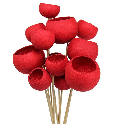 Floristik24 Coupe Cloche sur bâton Mix Rouge 15pcs