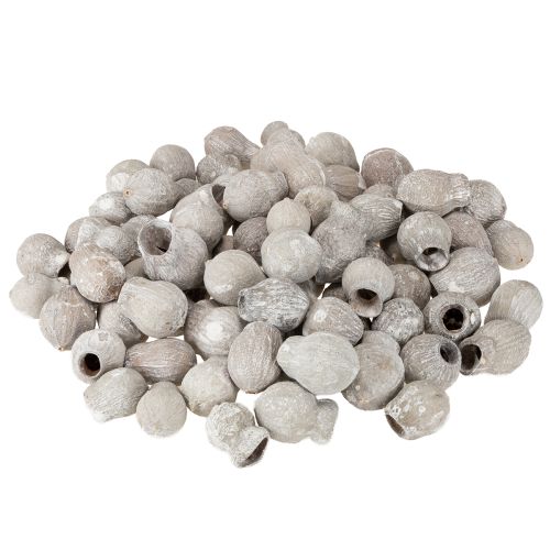 Article Bellgums blanchis à la chaux 2cm - 5cm 500g