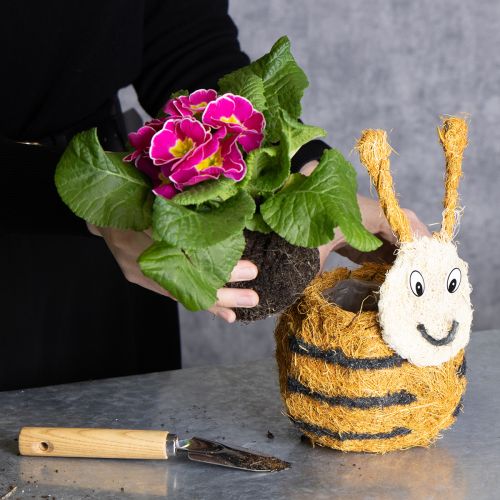 Article Figurine d'abeille en matériaux naturels, au design adorable, idéale pour les chambres d'enfants, 24 cm, lot de 2.